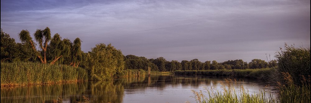 pola_simpson's profile banner image