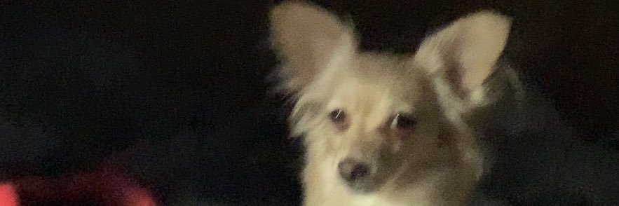 verzco's profile banner image