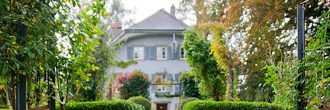 NikkiG.J 🇨🇭 banner