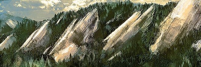 AvianSmash's profile banner image