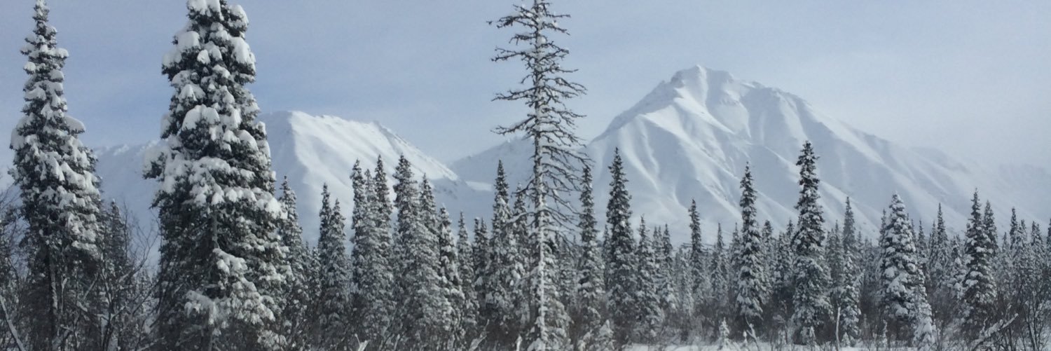 maiakildare's profile banner image