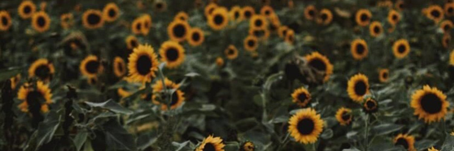 🐍🖤🌻/BaHama.MamBa\🌻🐍🖤 banner