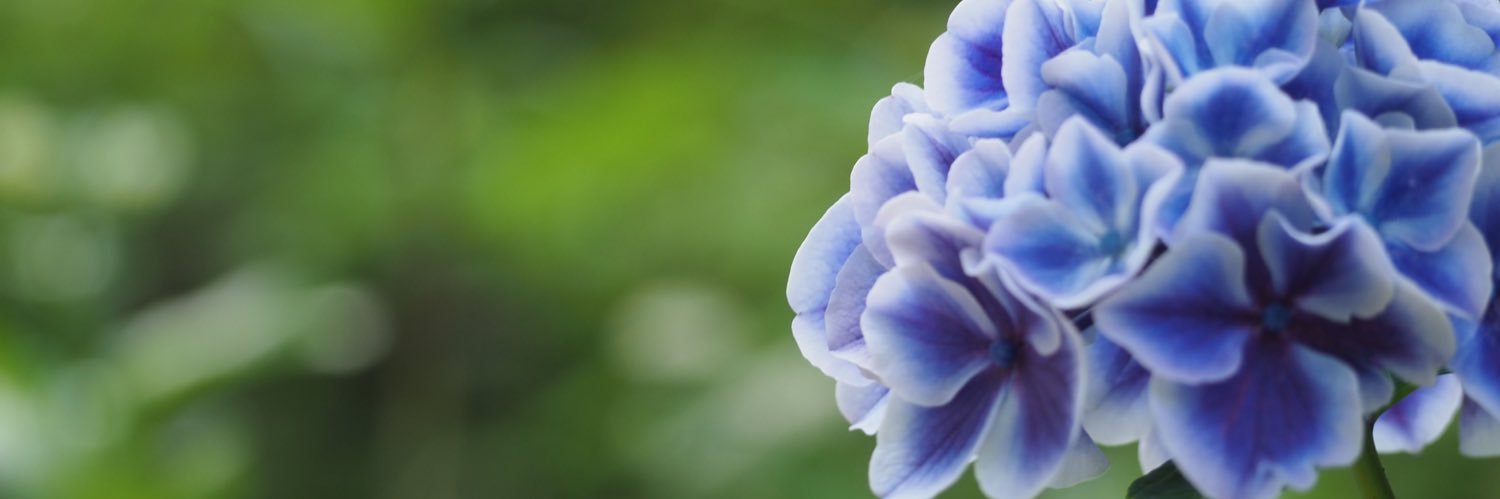 teuru108's profile banner image