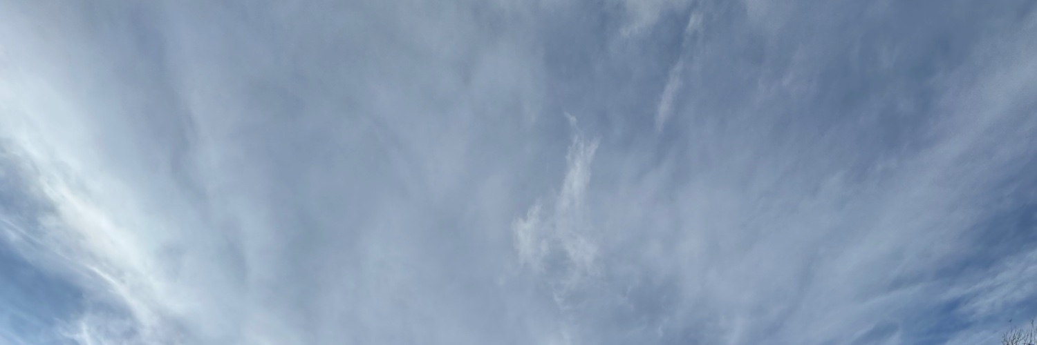 Rocío Sánchez Ares, PhD banner