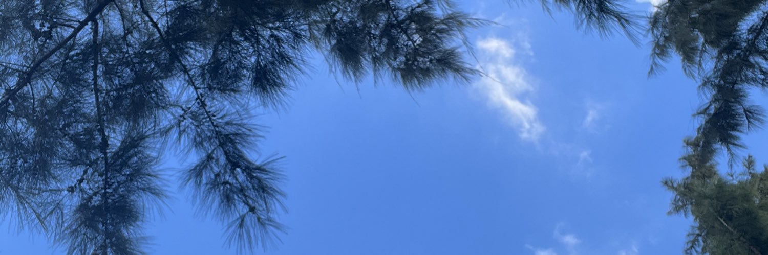 Leice9's profile banner image