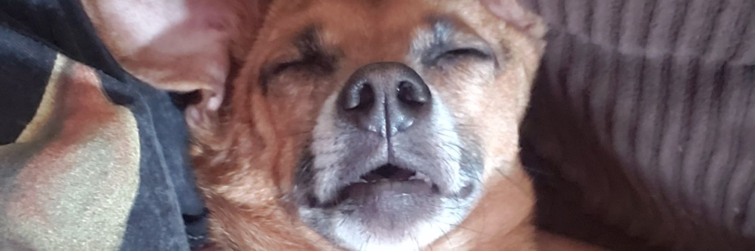 _AliTheGreat's profile banner image