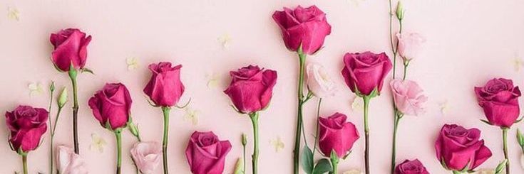 AlaaAhmed94's profile banner image