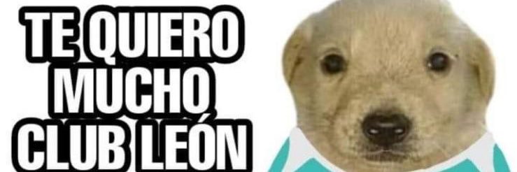 the_rors's profile banner image