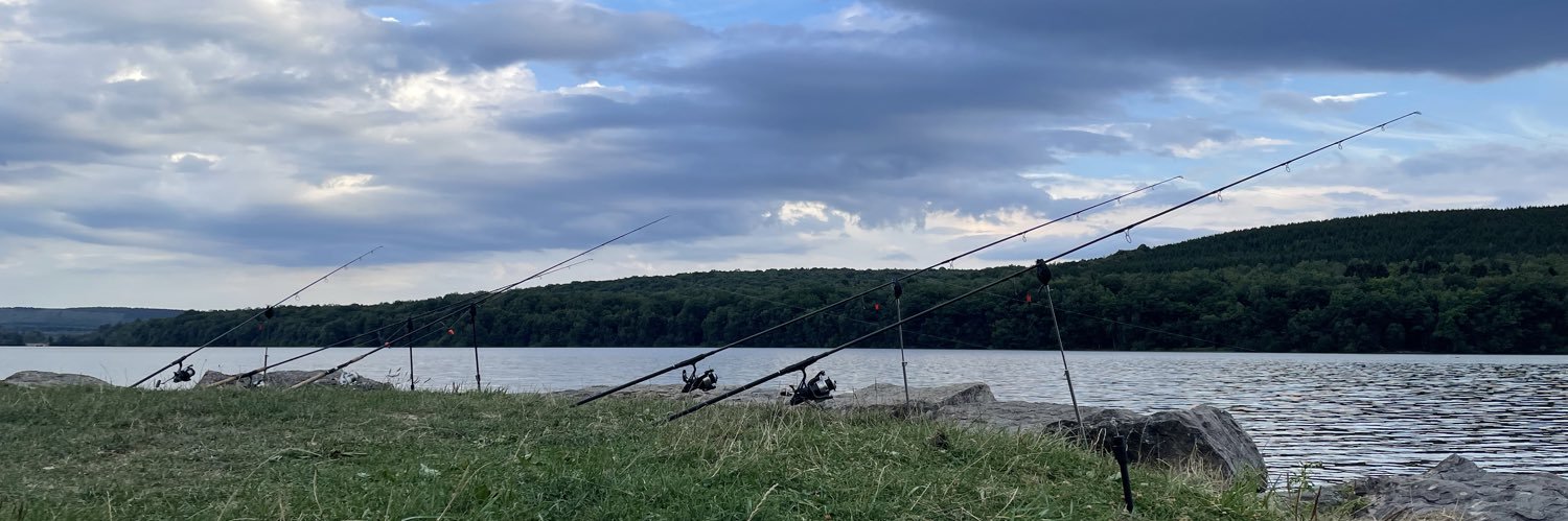 Endofishing's profile banner image