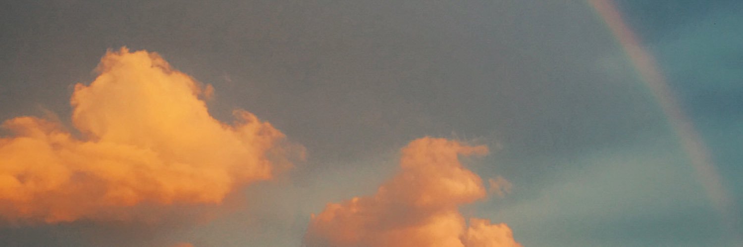 Angie Wilhelm banner