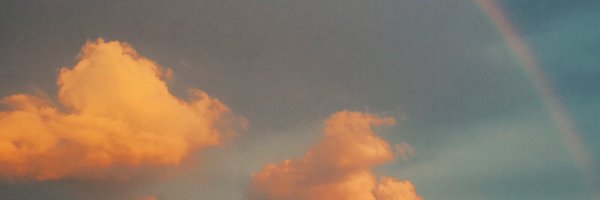 AngelaMWilhelm Profile Banner