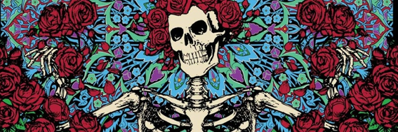 daisy_dewdrops's profile banner image