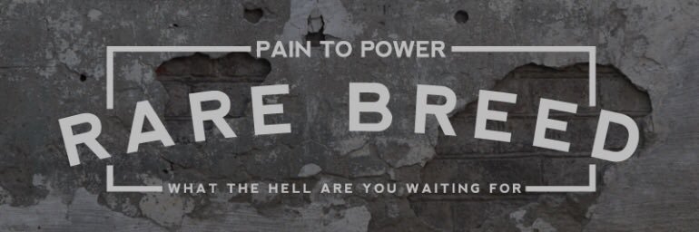 StevePedro34's profile banner image