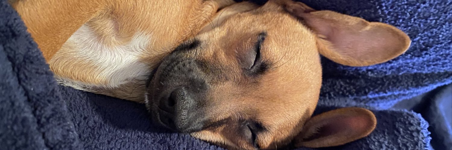 baxter_iii's profile banner image