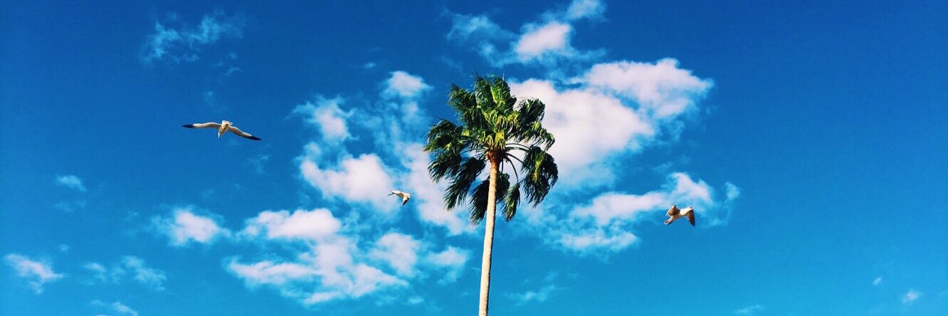 Dempsey Arsenault banner