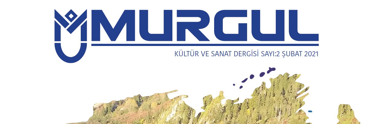 ercangulsuyu's profile banner image