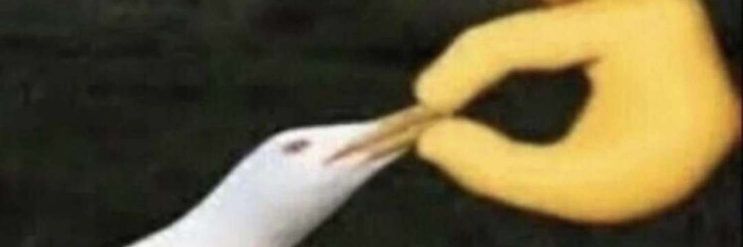 SammySuccinate's profile banner image
