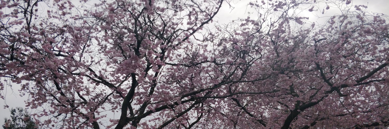 _oldgray's profile banner image
