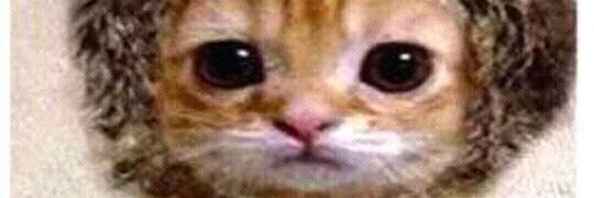 AngeeellDavid's profile banner image