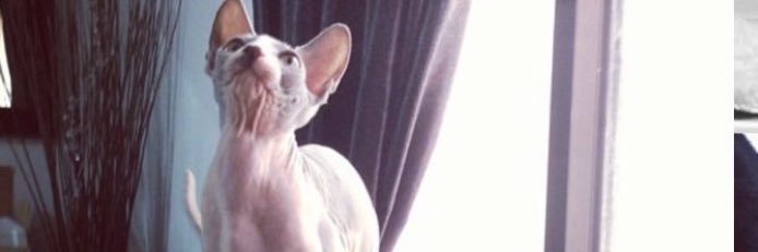 um_dharooi banner