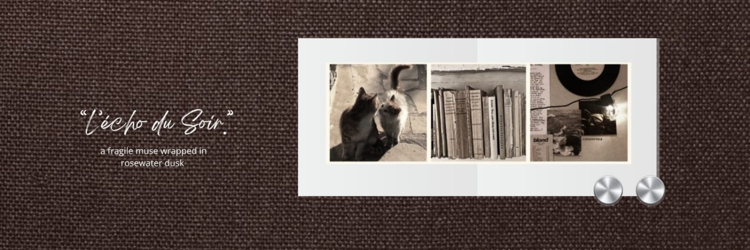 elowyyns's profile banner image