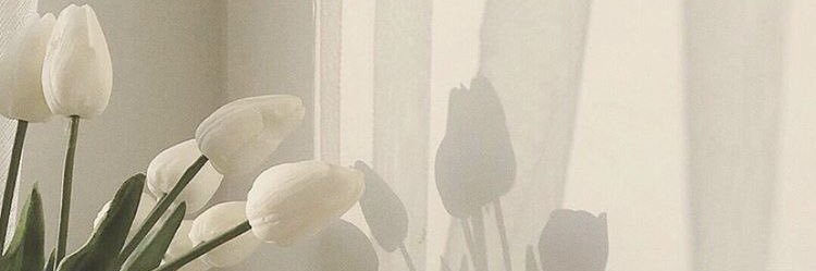 121_wk's profile banner image