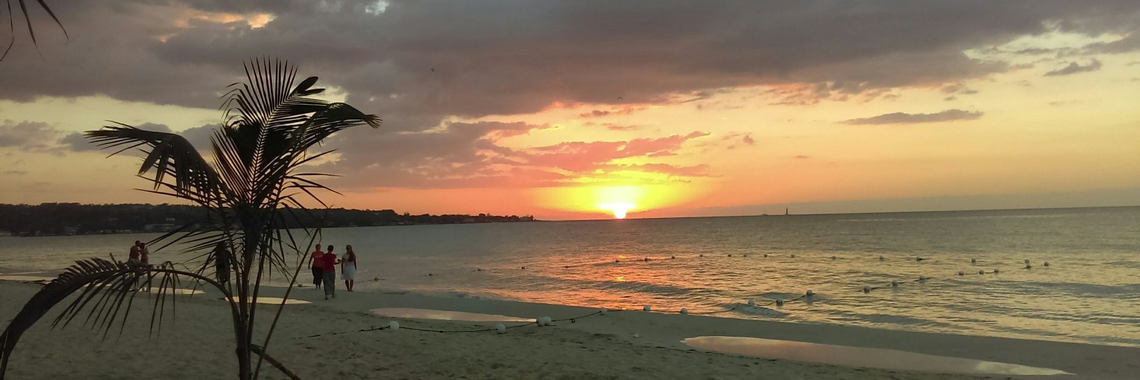 danojano's profile banner image