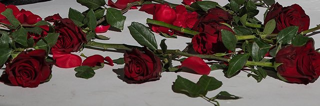 alwaysmariam14's profile banner image