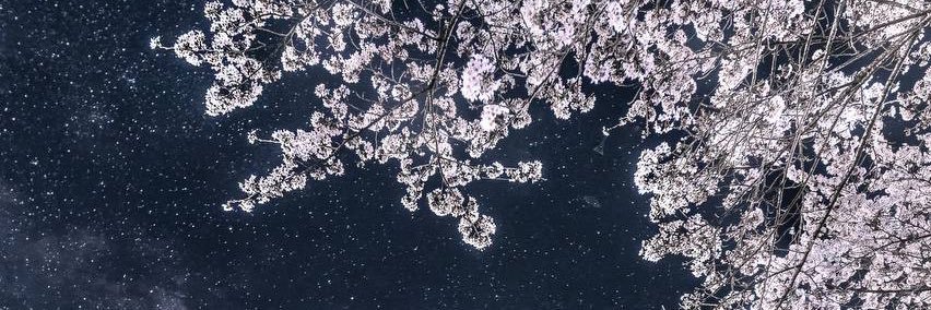 lim_jaeee's profile banner image