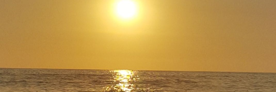 maia_kaizen's profile banner image