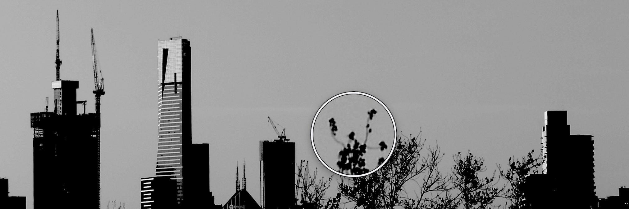 Dr Paul R Kelly banner