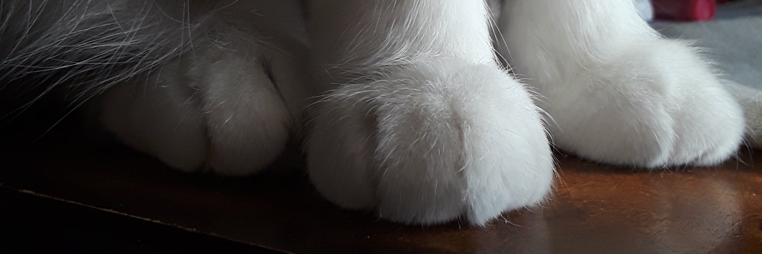 leahoh4's profile banner image