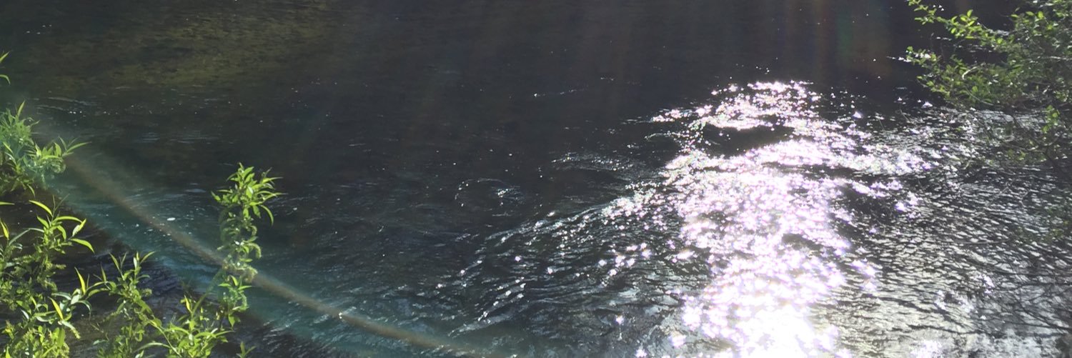EscoMaliya's profile banner image