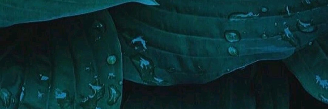 rotxee's profile banner image