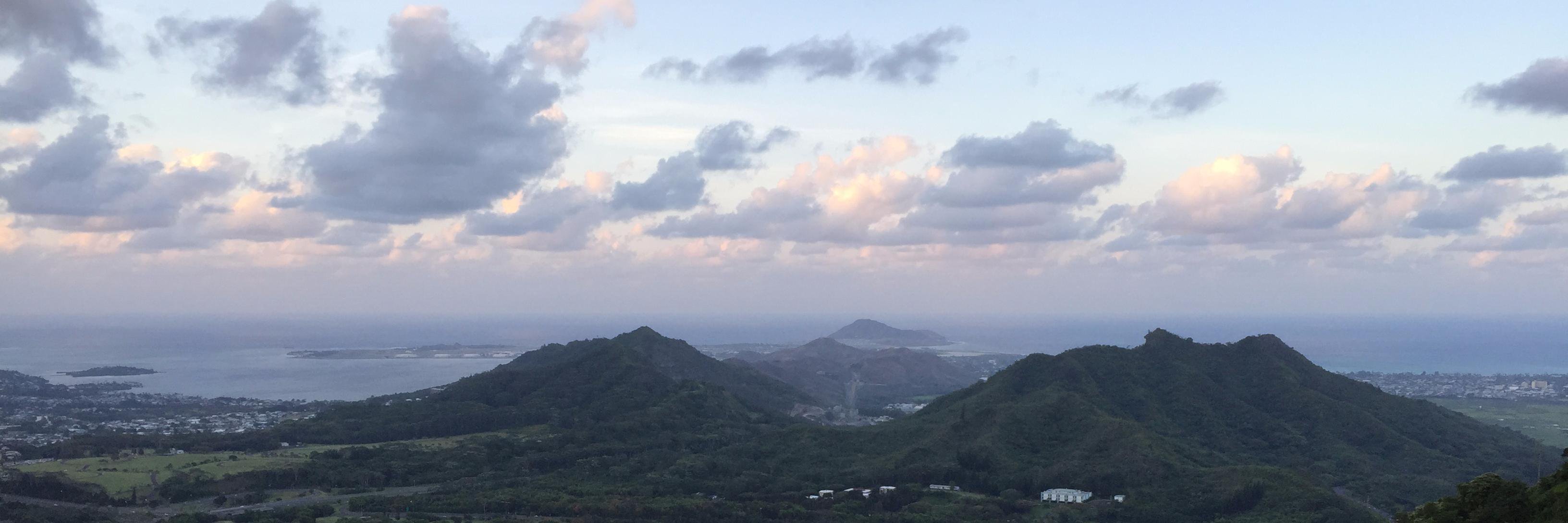 Naresh Bhatia banner