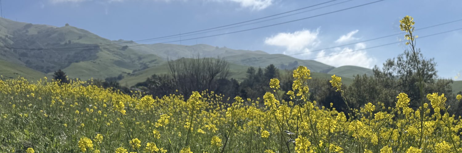 therealjustlike's profile banner image
