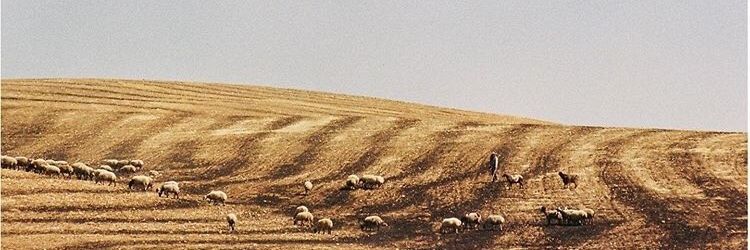 qeydubend's profile banner image