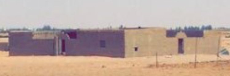 AF_Aladeem's profile banner image