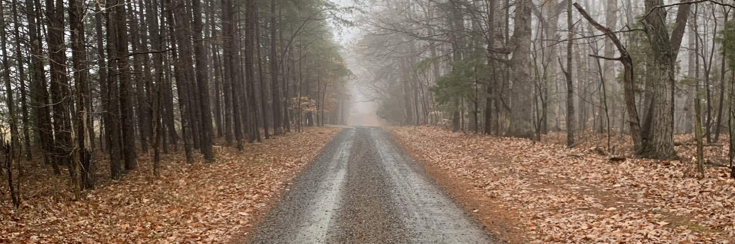 MizzMorgannn's profile banner image