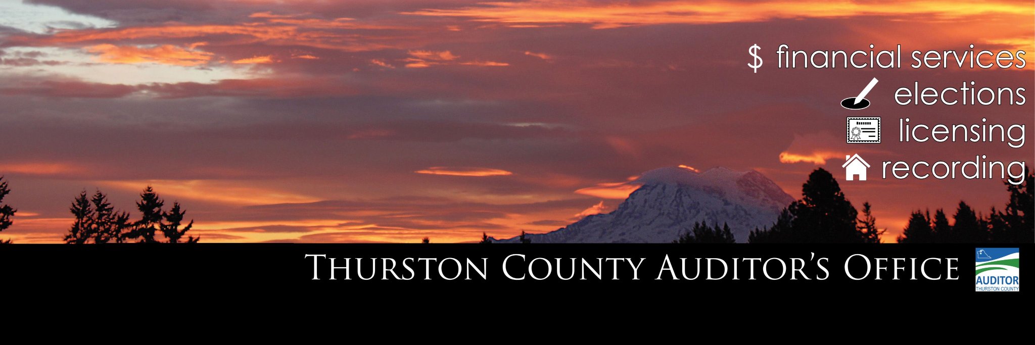 Thurston Co Auditor banner