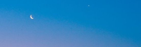 ささもち banner