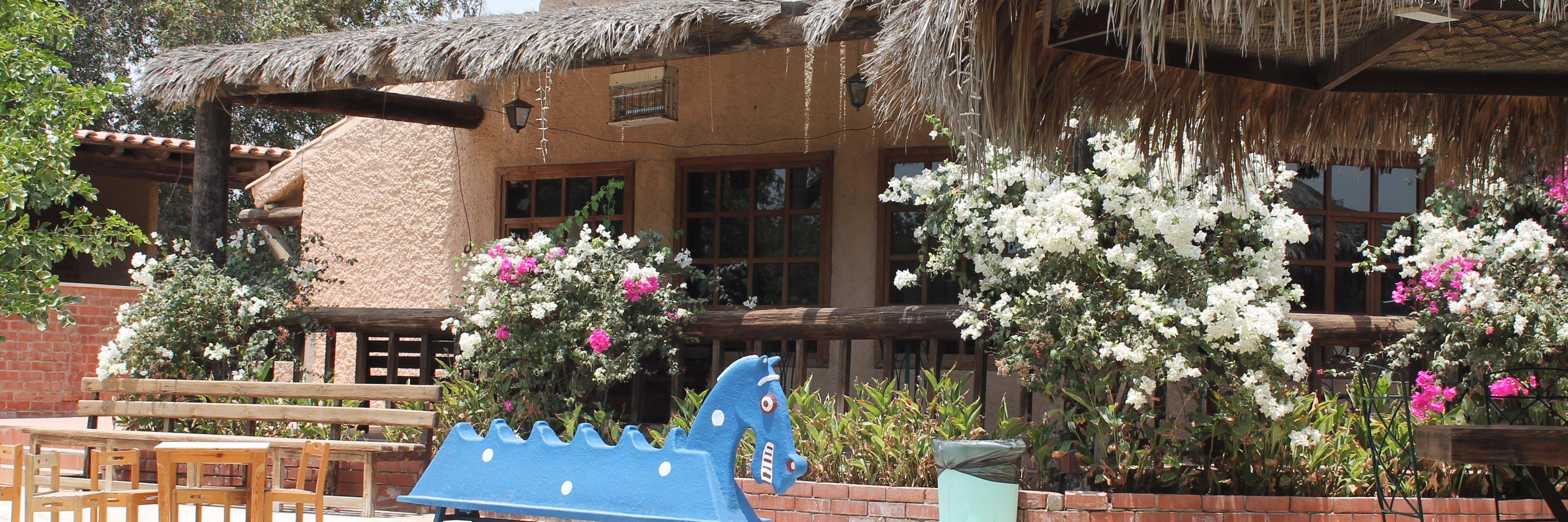 TRIO_RANCH's profile banner image