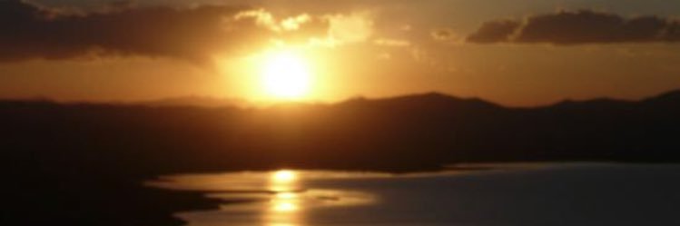 saayaKitten's profile banner image