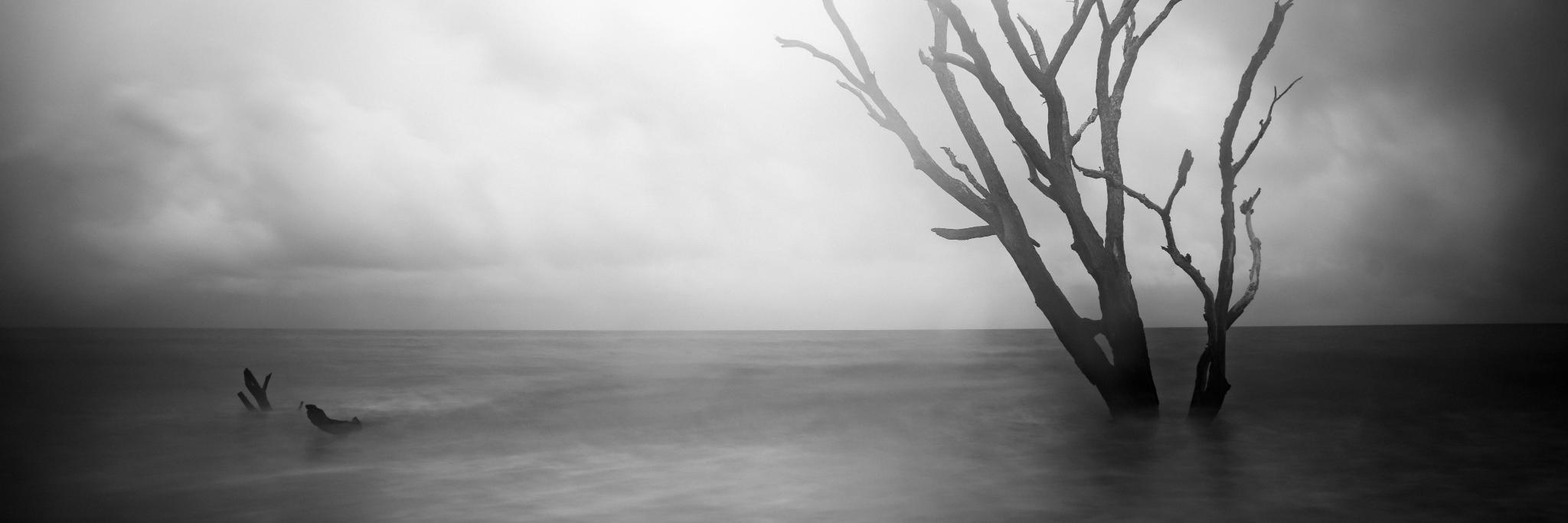 CyanotypeArtist's profile banner image