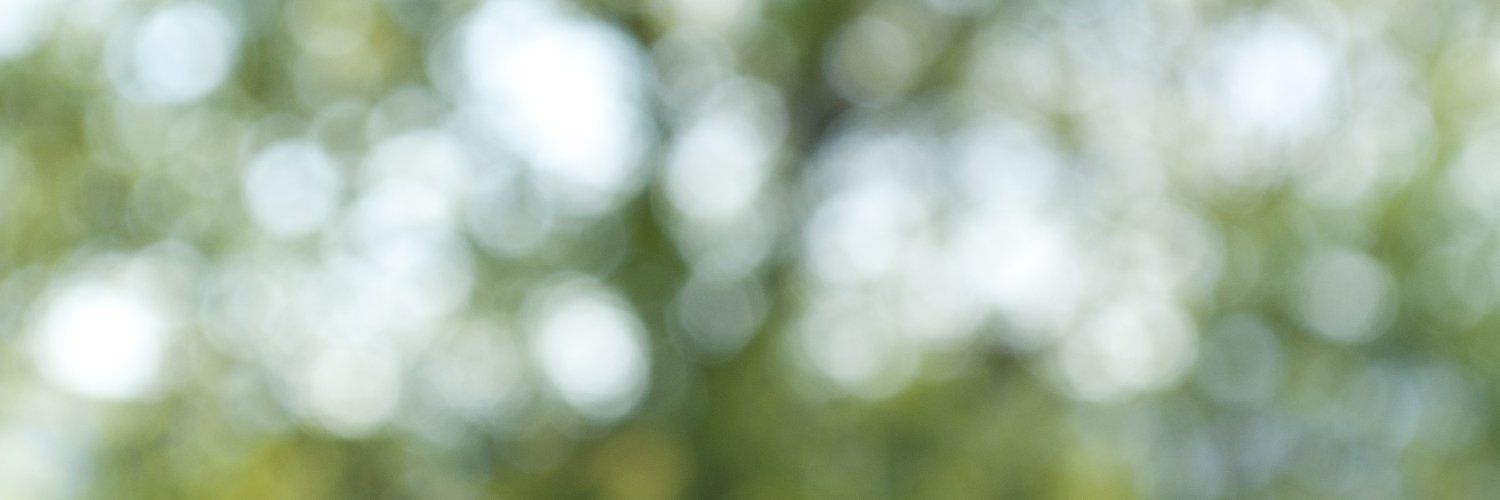LaurieBrunner's profile banner image