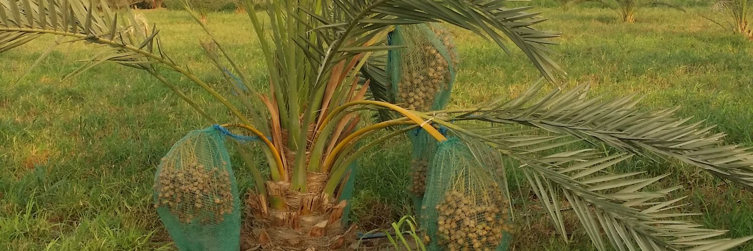 فلاح محمد الرجعان banner