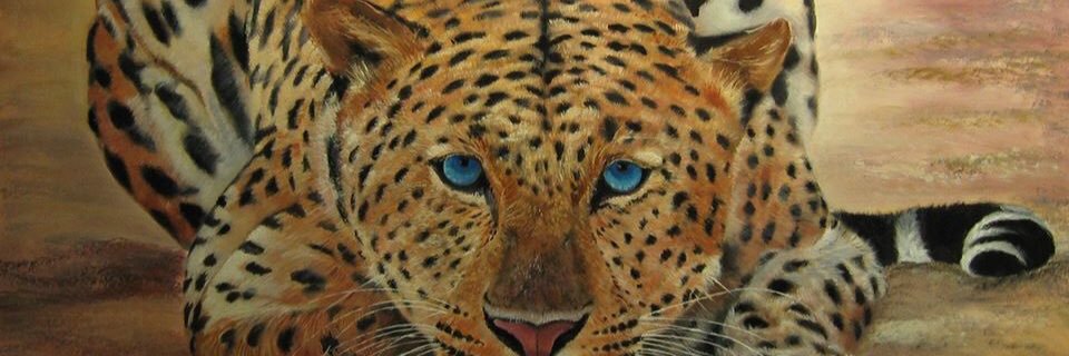 MuanaMbok's profile banner image