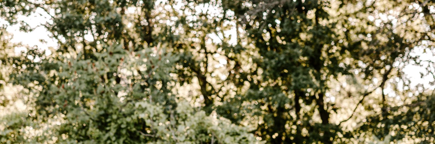 JaynahSpeltz's profile banner image
