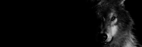 hmhcs's profile banner image