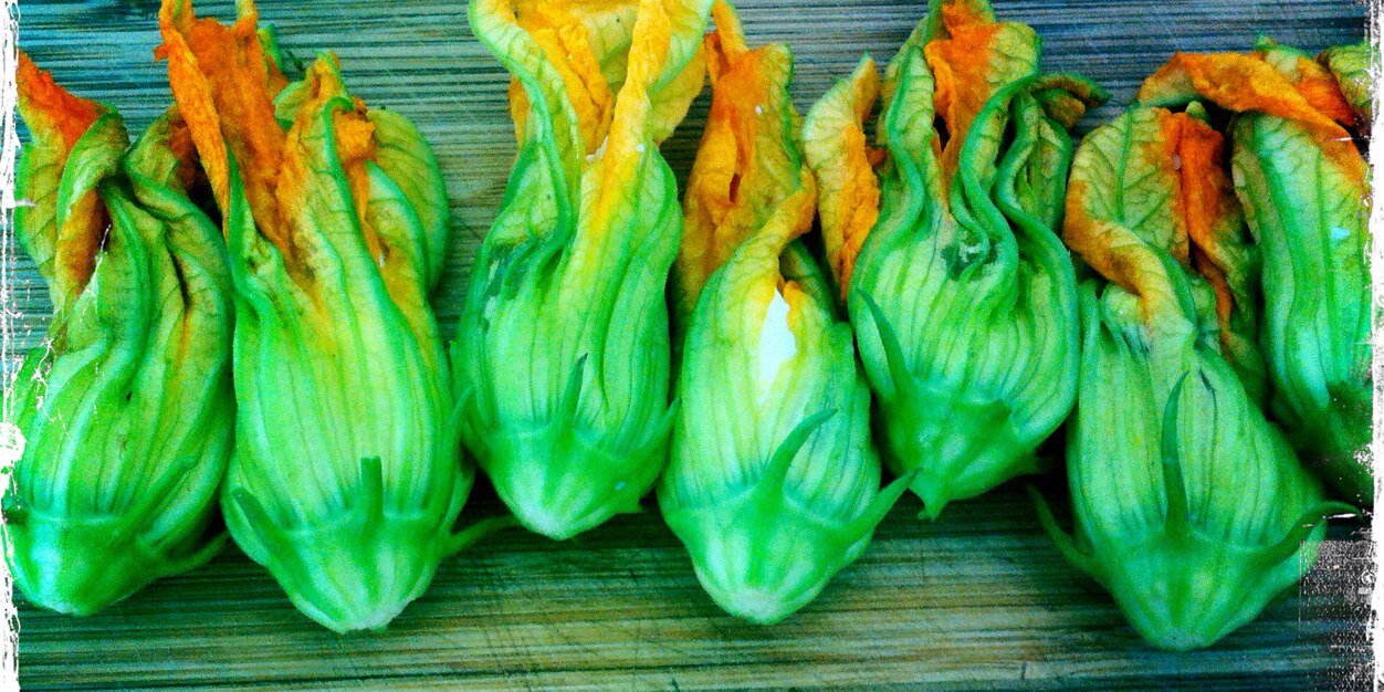 Kim Westerman banner